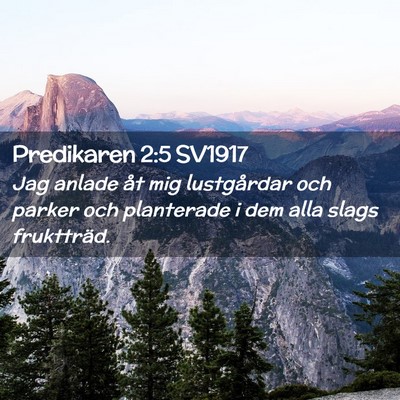 Picture 02 - Predikaren 2:5 SV1917 - Jag anlade åt mig lustgårdar och parker och - Bible Verse Picture