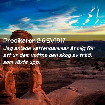 Picture 02 - Predikaren 2:6 SV1917 - Jag anlade vattendammar åt mig för att ur dem - Bible Verse Picture
