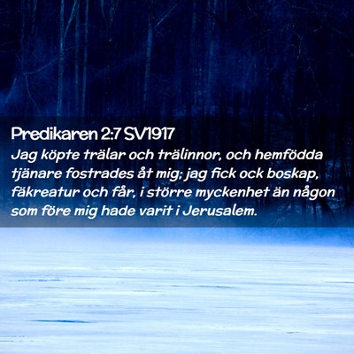 Picture 02 - Predikaren 2:7 SV1917 - Jag köpte trälar och trälinnor, och hemfödda - Bible Verse Picture