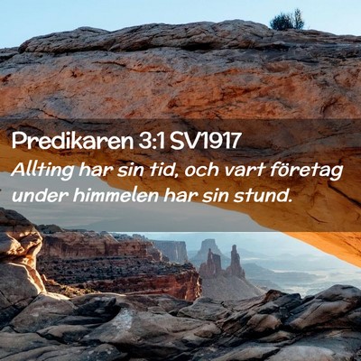 Picture 02 - Predikaren 3:1 SV1917 - Allting har sin tid, och vart företag under - Bible Verse Picture