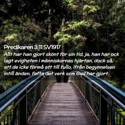 Picture 02 - Predikaren 3:11 SV1917 - Allt har han gjort skönt för sin tid, ja, han - Bible Verse Picture