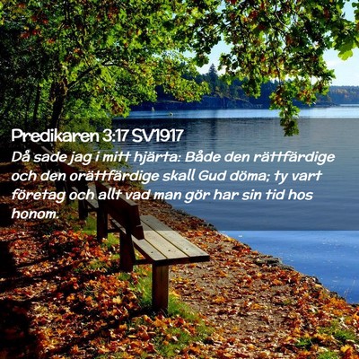 Picture 02 - Predikaren 3:17 SV1917 - Då sade jag i mitt hjärta: Både den - Bible Verse Picture