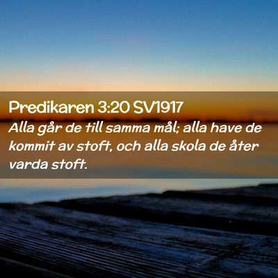 Picture 02 - Predikaren 3:20 SV1917 - Alla går de till samma mål; alla have de kommit - Bible Verse Picture