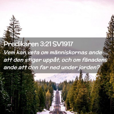 Picture 02 - Predikaren 3:21 SV1917 - Vem kan veta om människornas ande att den stiger - Bible Verse Picture