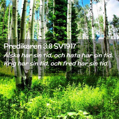 Picture 02 - Predikaren 3:8 SV1917 - Älska har sin tid, och hata har sin tid. Krig - Bible Verse Picture
