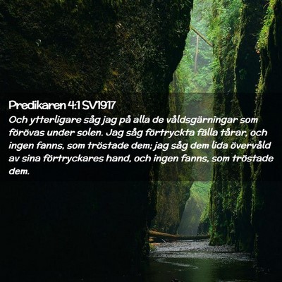 Picture 02 - Predikaren 4:1 SV1917 - Och ytterligare såg jag på alla de - Bible Verse Picture