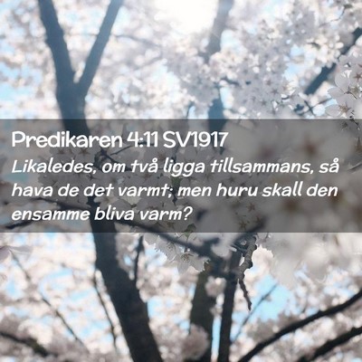 Picture 02 - Predikaren 4:11 SV1917 - Likaledes, om två ligga tillsammans, så hava de - Bible Verse Picture