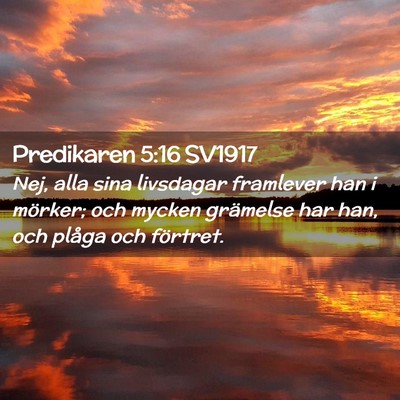 Picture 02 - Predikaren 5:16 SV1917 - Nej, alla sina livsdagar framlever han i mörker; - Bible Verse Picture