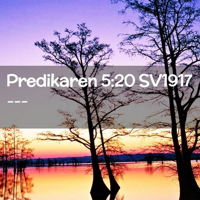 Picture 02 - Predikaren 5:20 SV1917 -  - Bible Verse Picture