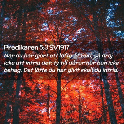 Picture 02 - Predikaren 5:3 SV1917 - När du har gjort ett löfte åt Gud, så dröj - Bible Verse Picture