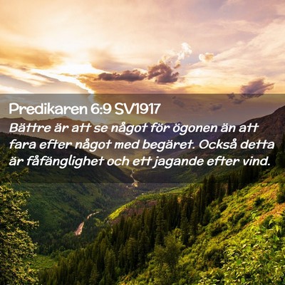 Picture 02 - Predikaren 6:9 SV1917 - Bättre är att se något för ögonen än att - Bible Verse Picture