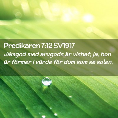 Picture 02 - Predikaren 7:12 SV1917 - Jämgod med arvgods är vishet, ja, hon är - Bible Verse Picture