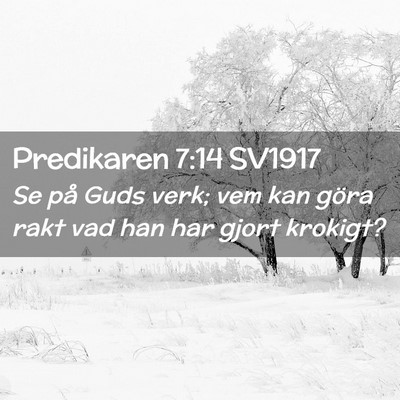 Picture 02 - Predikaren 7:14 SV1917 - Se på Guds verk; vem kan göra rakt vad han har - Bible Verse Picture