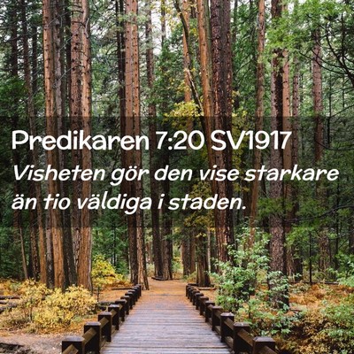 Picture 02 - Predikaren 7:20 SV1917 - Visheten gör den vise starkare än tio väldiga - Bible Verse Picture