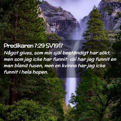 Picture 02 - Predikaren 7:29 SV1917 - Något gives, som min själ beständigt har - Bible Verse Picture
