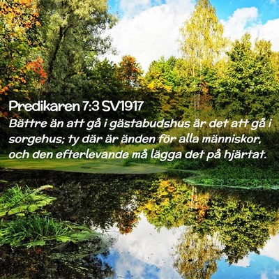 Picture 02 - Predikaren 7:3 SV1917 - Bättre än att gå i gästabudshus är det att - Bible Verse Picture