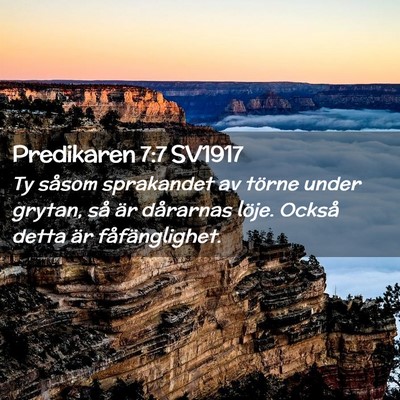 Picture 02 - Predikaren 7:7 SV1917 - Ty såsom sprakandet av törne under grytan, så - Bible Verse Picture