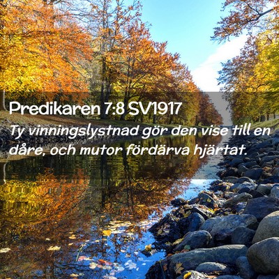 Picture 02 - Predikaren 7:8 SV1917 - Ty vinningslystnad gör den vise till en dåre, - Bible Verse Picture