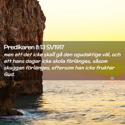 Picture 02 - Predikaren 8:13 SV1917 - men att det icke skall gå den ogudaktige väl, - Bible Verse Picture