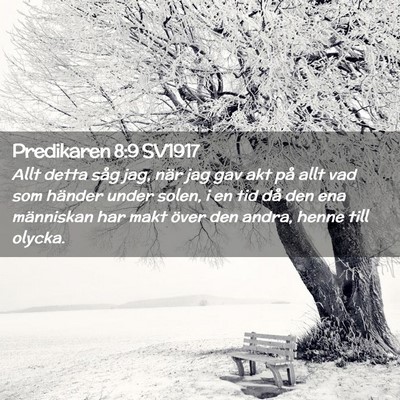 Picture 02 - Predikaren 8:9 SV1917 - Allt detta såg jag, när jag gav akt på allt - Bible Verse Picture
