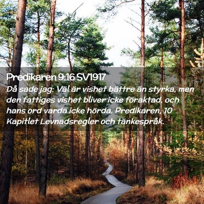 Picture 02 - Predikaren 9:16 SV1917 - Då sade jag: Väl är vishet bättre än styrka, - Bible Verse Picture