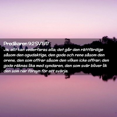 Picture 02 - Predikaren 9:2 SV1917 - Ja, allt kan vederfaras alla; det går den - Bible Verse Picture