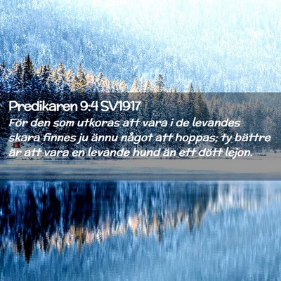 Picture 02 - Predikaren 9:4 SV1917 - För den som utkoras att vara i de levandes skara - Bible Verse Picture