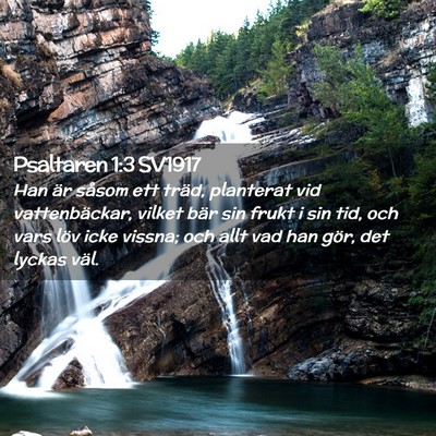 Picture 02 - Psaltaren 1:3 SV1917 - Han är såsom ett träd, planterat vid - Bible Verse Picture