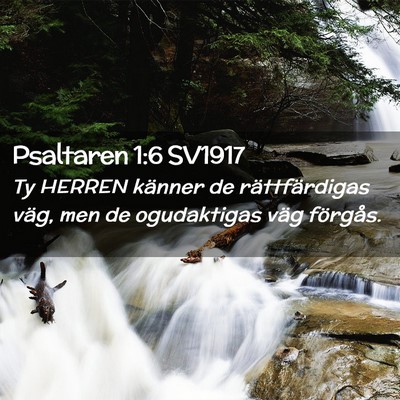 Picture 02 - Psaltaren 1:6 SV1917 - Ty HERREN känner de rättfärdigas väg, men de - Bible Verse Picture