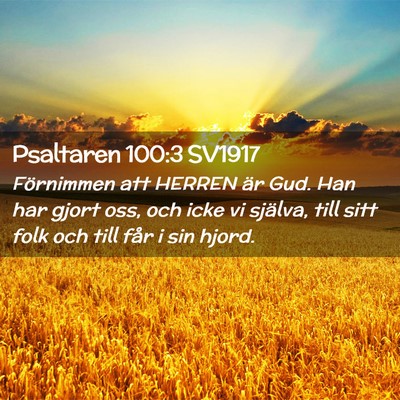 Picture 02 - Psaltaren 100:3 SV1917 - Förnimmen att HERREN är Gud. Han har gjort oss, - Bible Verse Picture