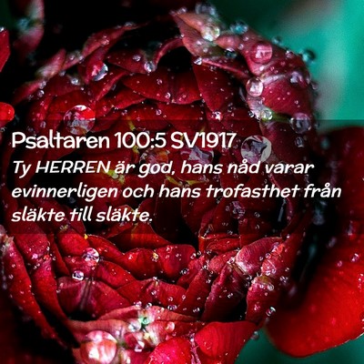 Picture 02 - Psaltaren 100:5 SV1917 - Ty HERREN är god, hans nåd varar evinnerligen - Bible Verse Picture