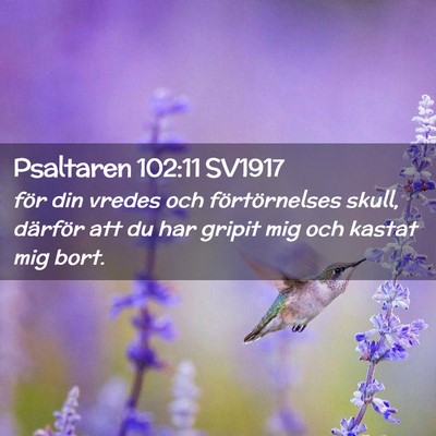 Picture 02 - Psaltaren 102:11 SV1917 - för din vredes och förtörnelses skull, - Bible Verse Picture