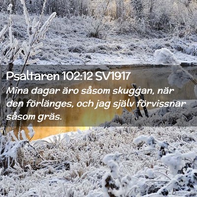 Picture 02 - Psaltaren 102:12 SV1917 - Mina dagar äro såsom skuggan, när den - Bible Verse Picture