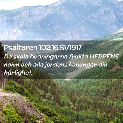 Picture 02 - Psaltaren 102:16 SV1917 - Då skola hedningarna frukta HERRENS namn och - Bible Verse Picture
