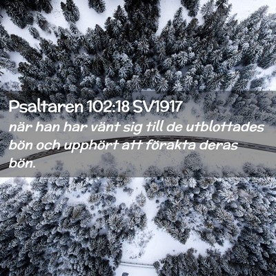 Picture 02 - Psaltaren 102:18 SV1917 - när han har vänt sig till de utblottades bön - Bible Verse Picture
