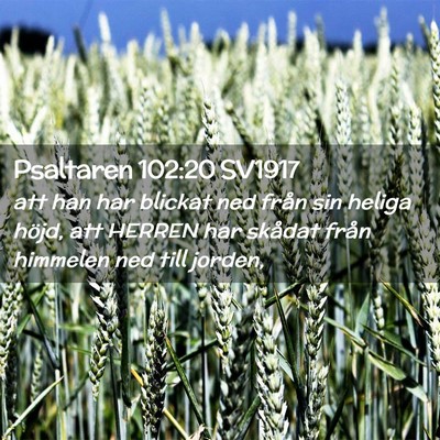 Picture 02 - Psaltaren 102:20 SV1917 - att han har blickat ned från sin heliga höjd, - Bible Verse Picture