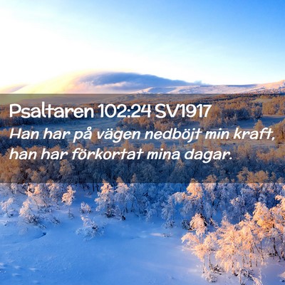 Picture 02 - Psaltaren 102:24 SV1917 - Han har på vägen nedböjt min kraft, han har - Bible Verse Picture