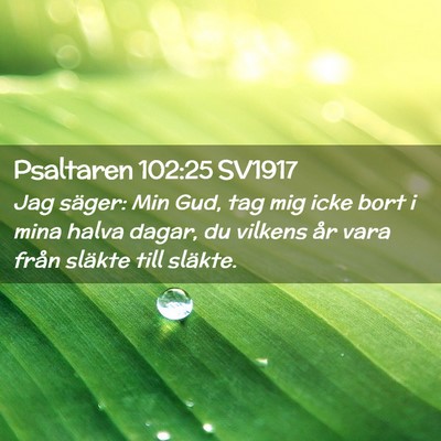 Picture 02 - Psaltaren 102:25 SV1917 - Jag säger: Min Gud, tag mig icke bort i mina - Bible Verse Picture