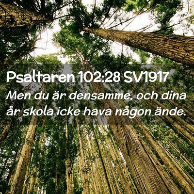 Picture 02 - Psaltaren 102:28 SV1917 - Men du är densamme, och dina år skola icke hava - Bible Verse Picture