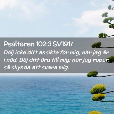 Picture 02 - Psaltaren 102:3 SV1917 - Dölj icke ditt ansikte för mig, när jag är i - Bible Verse Picture