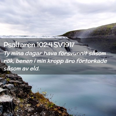 Picture 02 - Psaltaren 102:4 SV1917 - Ty mina dagar hava försvunnit såsom rök, benen - Bible Verse Picture