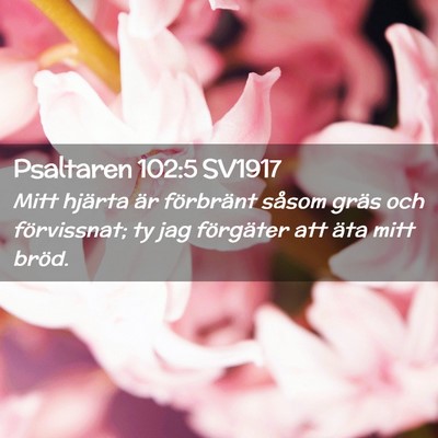 Picture 02 - Psaltaren 102:5 SV1917 - Mitt hjärta är förbränt såsom gräs och - Bible Verse Picture