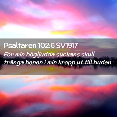 Picture 02 - Psaltaren 102:6 SV1917 - För min högljudda suckans skull tränga benen i - Bible Verse Picture