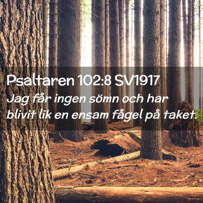 Picture 02 - Psaltaren 102:8 SV1917 - Jag får ingen sömn och har blivit lik en ensam - Bible Verse Picture