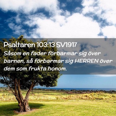 Picture 02 - Psaltaren 103:13 SV1917 - Såsom en fader förbarmar sig över barnen, så - Bible Verse Picture