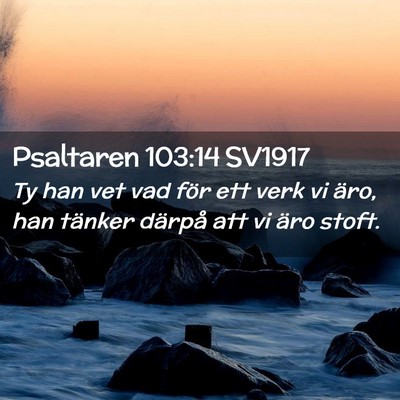 Picture 02 - Psaltaren 103:14 SV1917 - Ty han vet vad för ett verk vi äro, han tänker - Bible Verse Picture