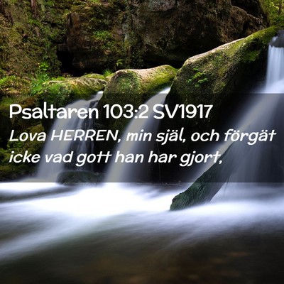 Picture 02 - Psaltaren 103:2 SV1917 - Lova HERREN, min själ, och förgät icke vad - Bible Verse Picture