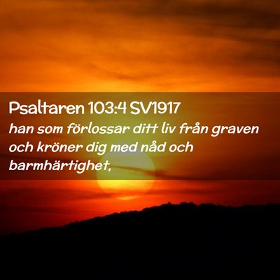 Picture 02 - Psaltaren 103:4 SV1917 - han som förlossar ditt liv från graven och - Bible Verse Picture