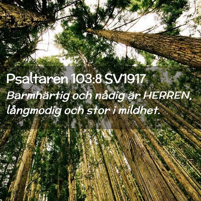Picture 02 - Psaltaren 103:8 SV1917 - Barmhärtig och nådig är HERREN, långmodig och - Bible Verse Picture