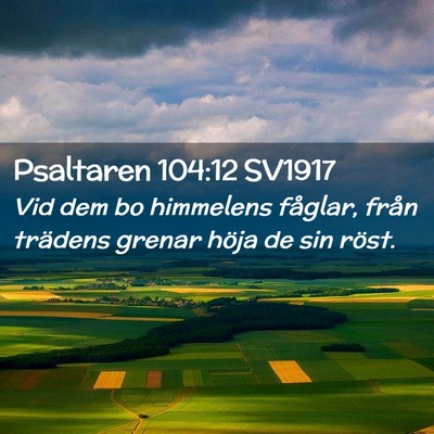 Picture 02 - Psaltaren 104:12 SV1917 - Vid dem bo himmelens fåglar, från trädens - Bible Verse Picture